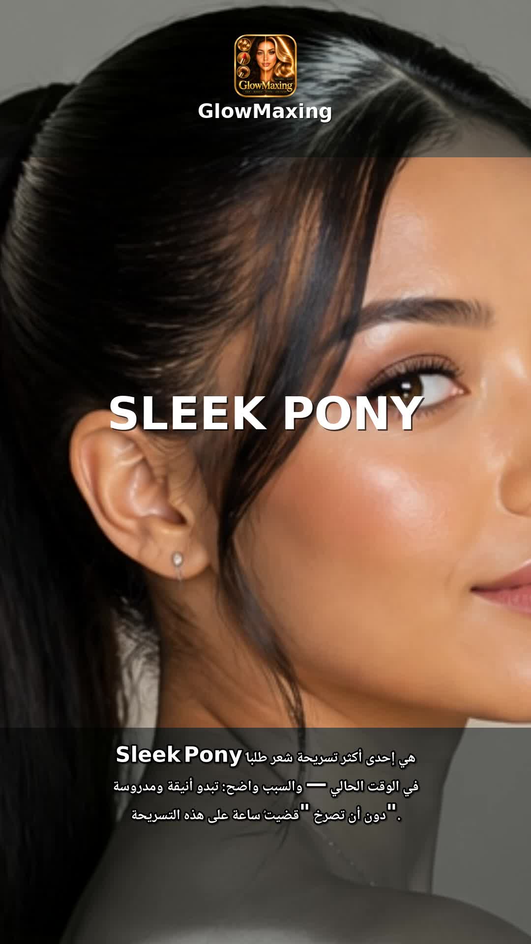 Sleek Pony
