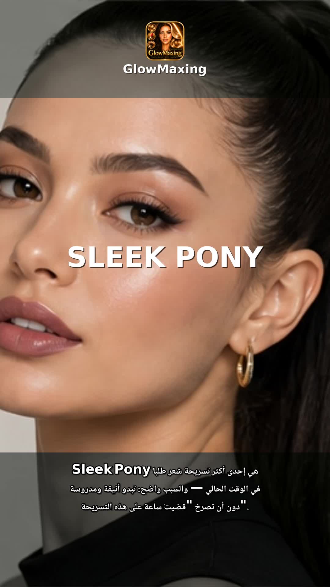 Sleek Pony