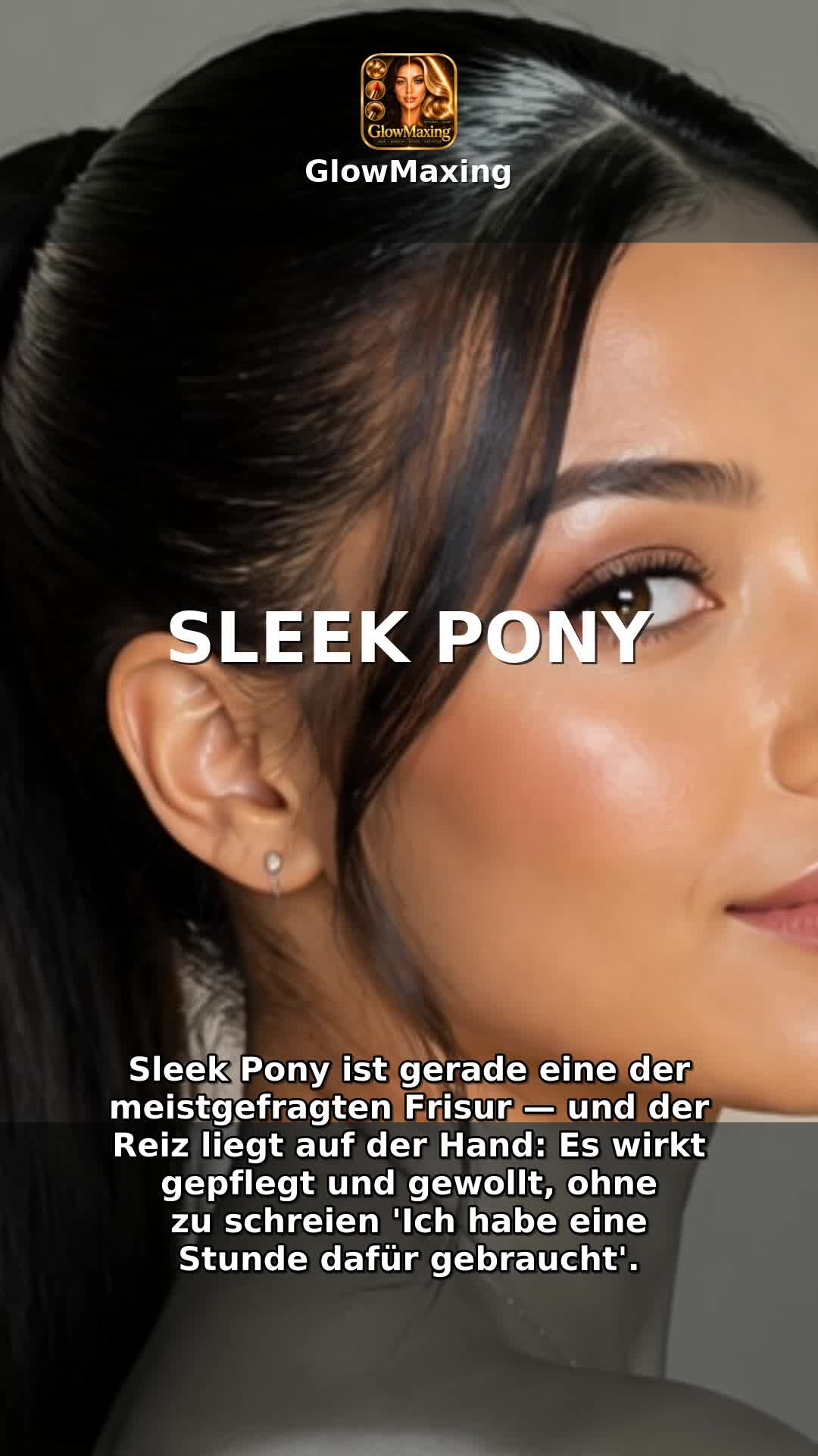 Sleek Pony