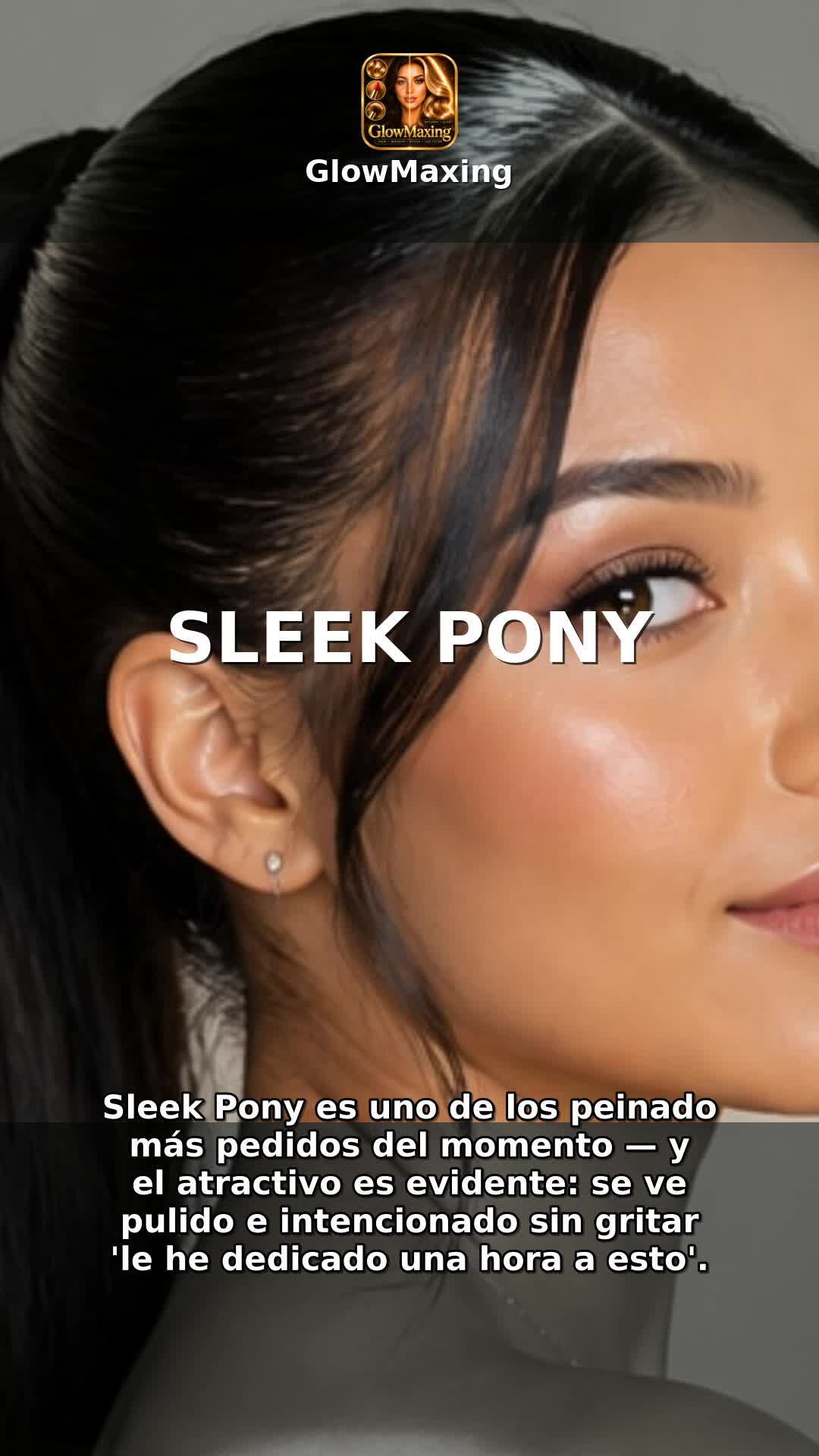 Sleek Pony