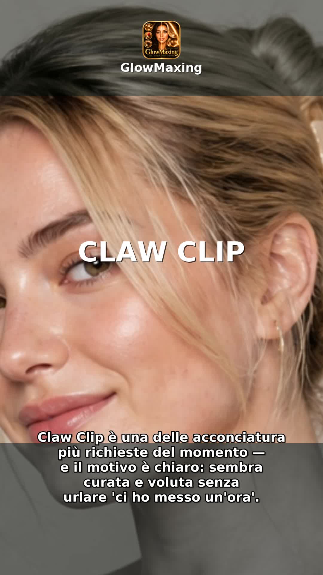 Claw Clip