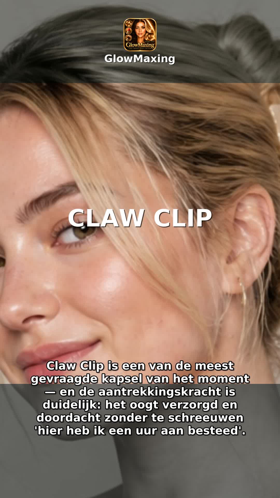 Claw Clip