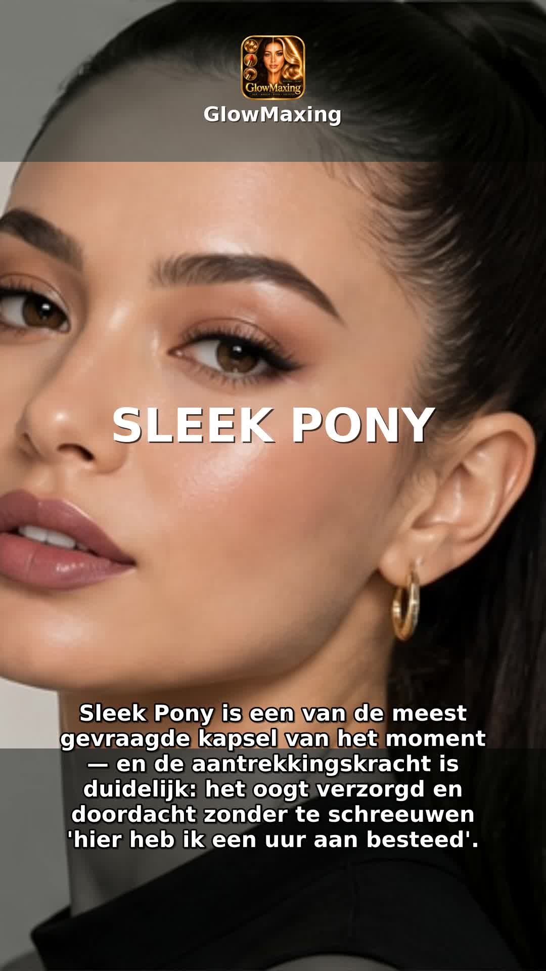 Sleek Pony