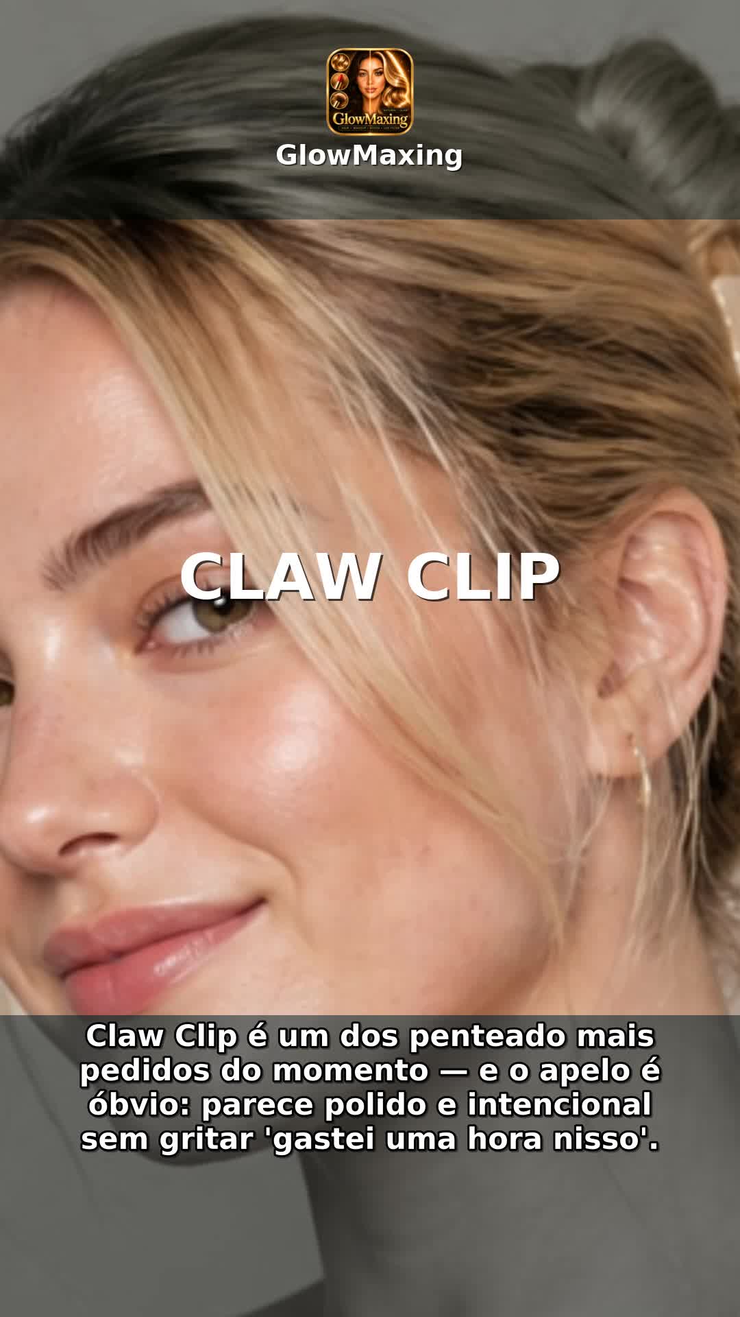 Claw Clip