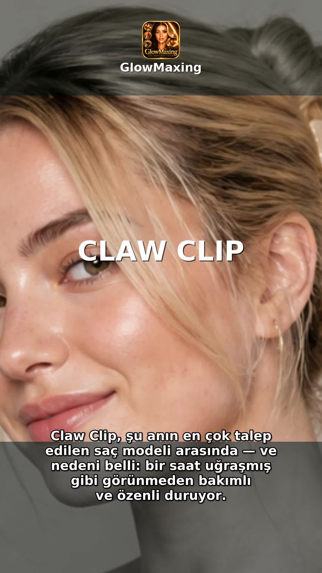 Claw Clip