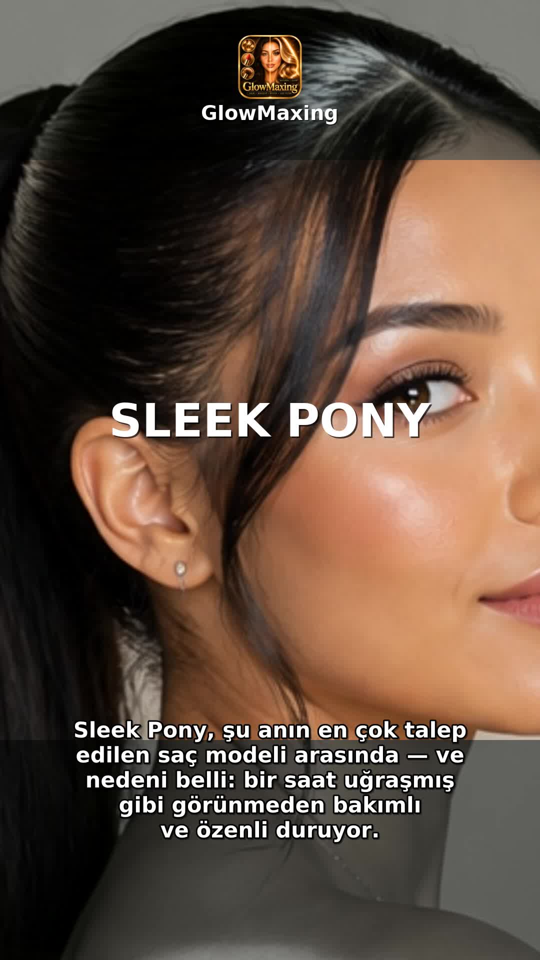 Sleek Pony
