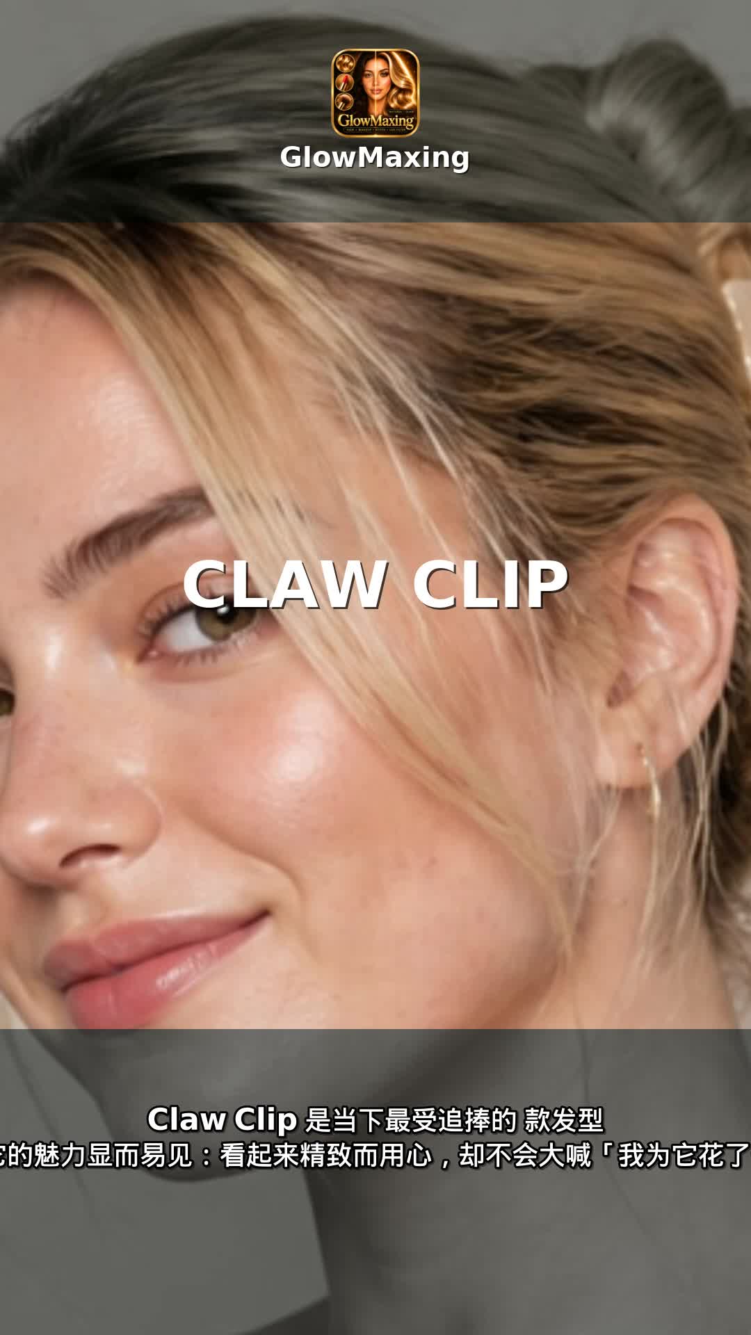 Claw Clip