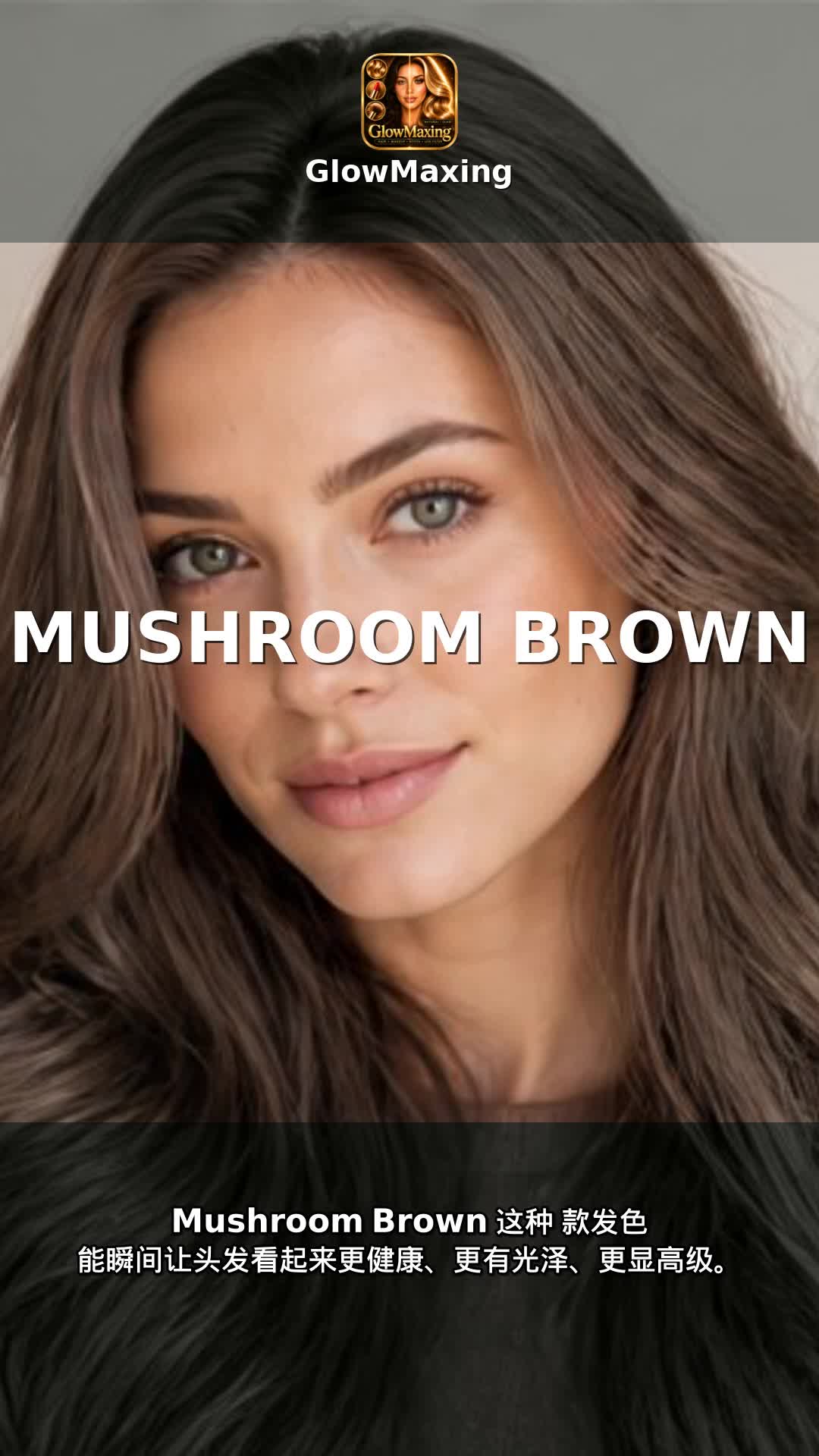 Mushroom Brown