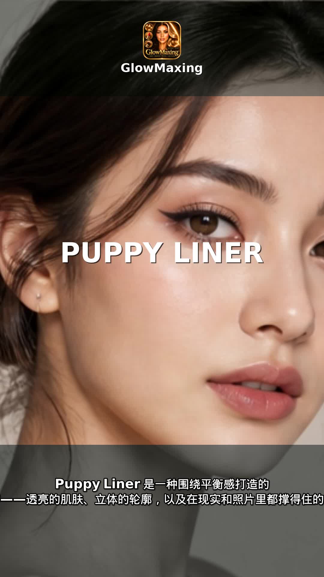 Puppy Liner