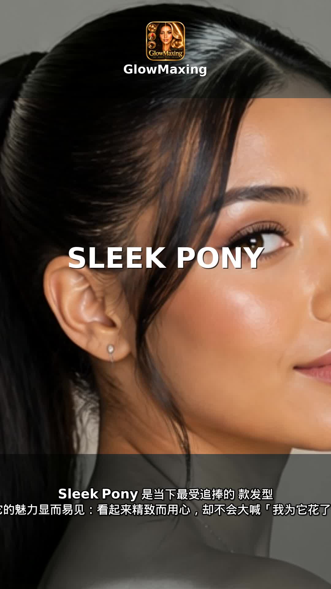 Sleek Pony