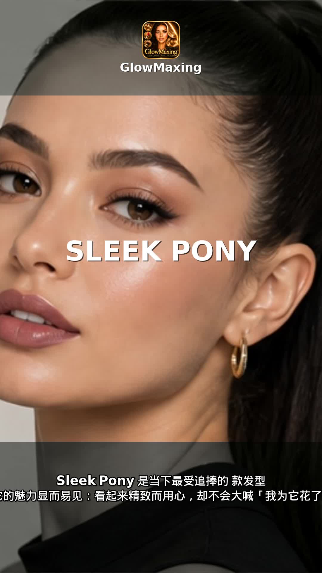 Sleek Pony